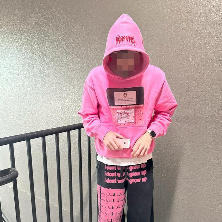 "3DS" hoodie